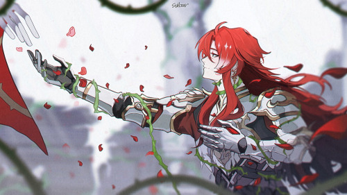 Knight Of Beauty