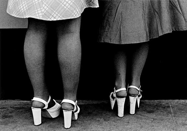  Legs; smoliansky 1971 &amp; 1974 