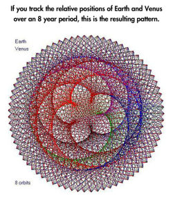 strangewiththepowertochange:   positivebeatsthenegative:  cardiocutie:  Guys you don’t understand how awesome this is. This pattern happens everywhere. It happens on flowers and pinecones absolutely vegetables, it happens all around you. If you don’t