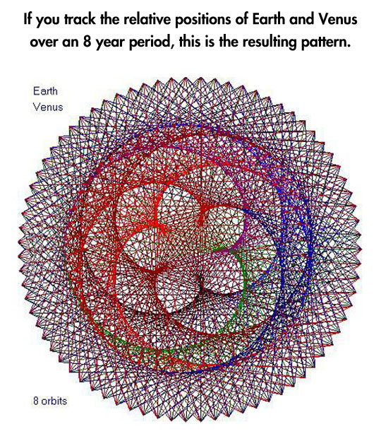 positivebeatsthenegative:
“ cardiocutie:
“ Guys you don’t understand how awesome this is. This pattern happens everywhere. It happens on flowers and pinecones absolutely vegetables, it happens all around you. If you don’t think that’s like the...