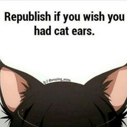 masters-kittengirl:  tallestredfangirl:I wished 😻😺😿🙀 #republish #catears #iwished #bisexual #bi #proudtobebisexual #bipride  MEEEEEEEE!!!!!!!