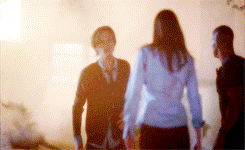 cortexifansquint:  CM Meme[3/6] brotps- Morgan/Prentiss/Reid 