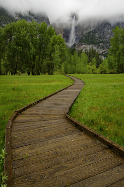 mydarkestdesiresrevealed:  tulipnight:  All paths lead to Yosemite Falls by Dustin Penman on Flickr.  the-patientwolf