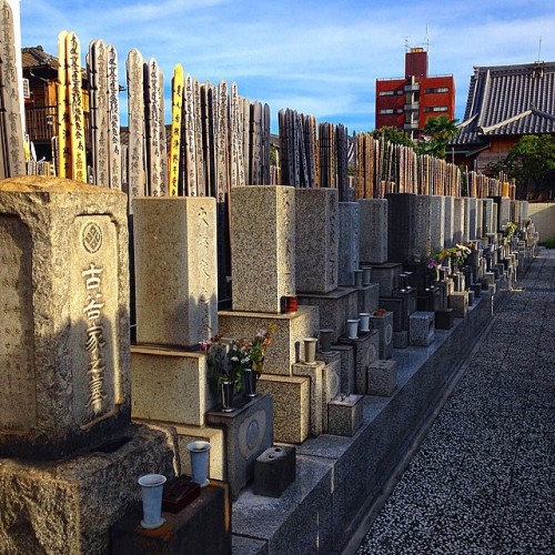 #Giappone #Japan #Nihon #Tokyo #NishiNippori #Graveyard #Summer #2014 #Instatravel #日本 #東京 #西日暮里