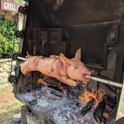 <p>Roadside pig. #rovinj <br/>
#yummyinmytummy</p>