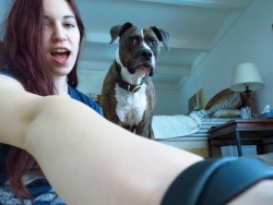 d&ndash;ivinyls:  anyone up for an awkward dog selfie?