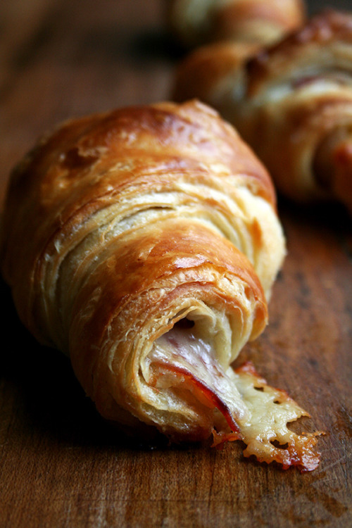 coffee-espresso: grayskymorning: Prosciutto + Gruyère Croissants ♡