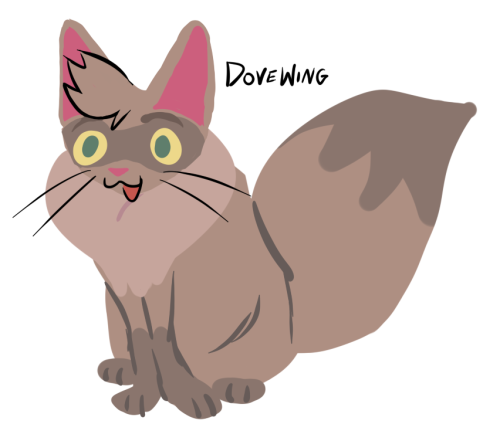 dovewing