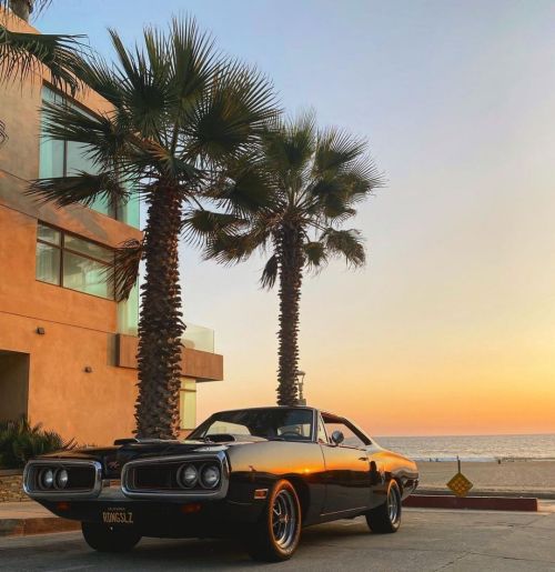 Sunbathed ‘70 @dodgeofficial Coronet R/T owned by @lightscameracar ! #musclecarspictures #v8 #