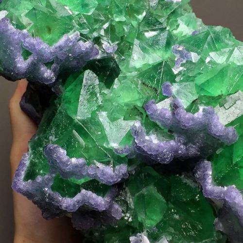 bijoux-et-mineraux:  Purple Fluorite on Green Fluorite - China