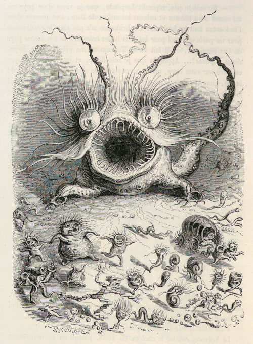 nemfrog: Big-mouthed, bug-eyed sea monster. Vie privée et publique des animaux. 186