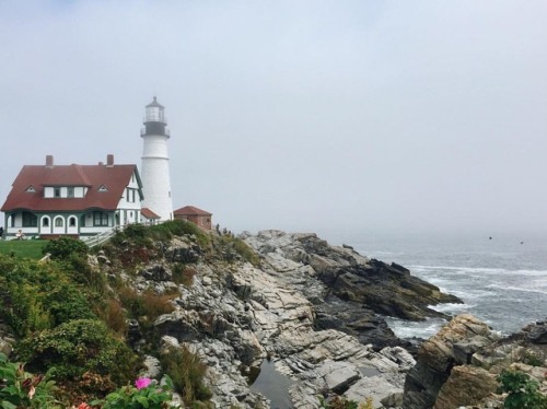 Portland, you were pretty picturesque. Onto the next! #maine #travel #portland #lighthouse #nature #