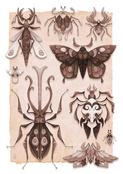 Otherworldly Entomology I’ve always wanted to draw something like this, so I finally did! Prin