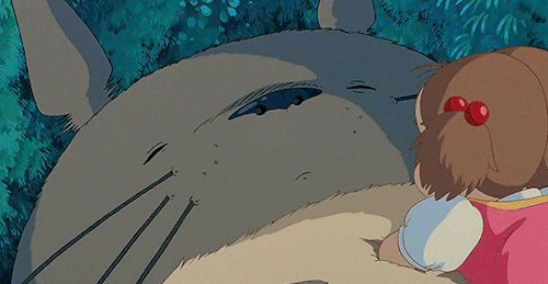 Porn photo kateverdeen: My Neighbor Totoro (1988) dir.