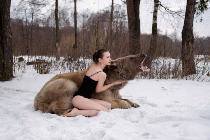 asylum-art-2:  Bearish -Olga Barantseva Russian photographer Olga Barantseva wants