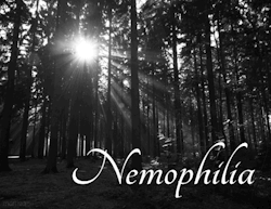 mortisia:  Nemophilia - NemophilyThe love of spending time in forests, their beauty and solitude. (x)