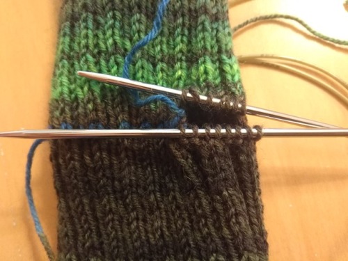 Leg Warmer