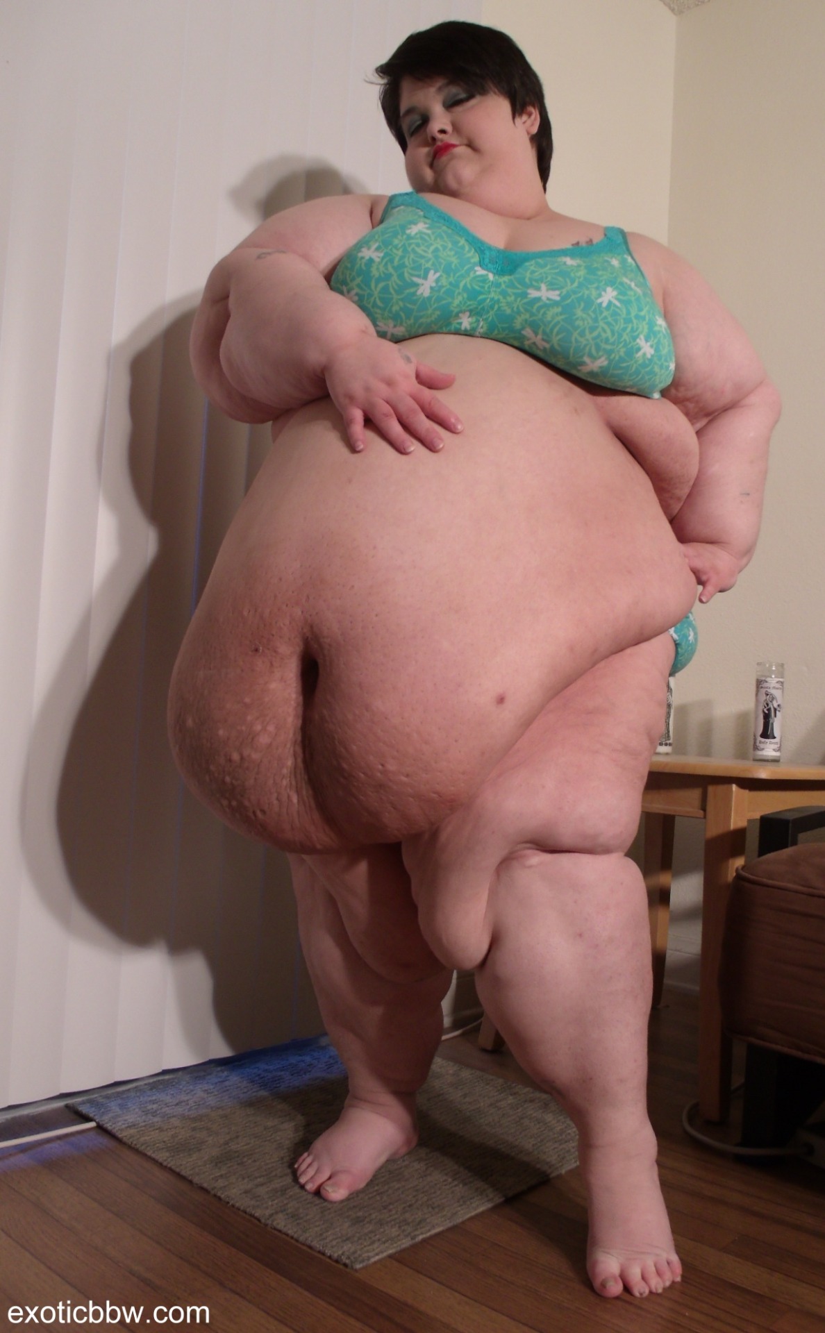 All things Obese