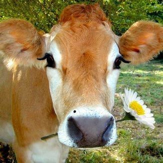 lonely-milkcarton - advocate for all babygirls