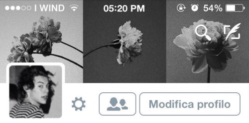 ୨୧˙˳⋆ harry styles layouts ⋆˳˙୨୧ • like or reblog if save. • don’t steal please, respect my wo