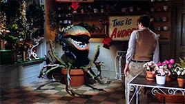 obscuruslupa:  qjunior:  get to know me | favorite movies [17/100]Little Shop of Horrors (1986)  Love Little Shop of Horrors!