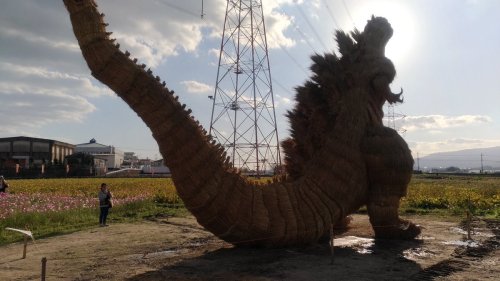 としあきたろぅ‏@ohbinder筑前町かがし祭の藁で出来たシンゴジラ、予想外の出来に驚いたわ自衛隊まで来てるし#シンゴジラ　#ゴジラRice straw Godzilla