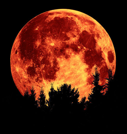 lori-rocks: Tonight’s full moon ( the mourning moon ) will be the largest / closest full moon in our