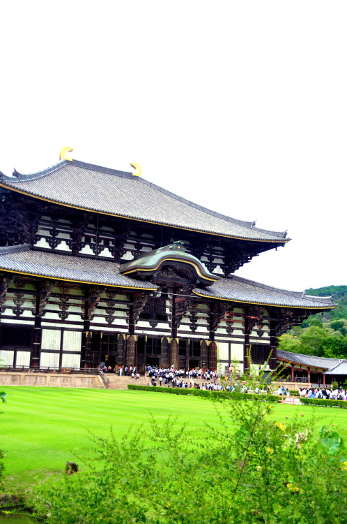 Journey to Japan: Exploring Kyoto (Part2) Visited Kyoto’s Imperial Palace where Tamed Deers ar