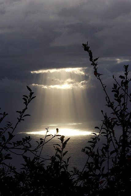 diamondzzandpearlzz:  The Holy Hole, Madeira Island, Portugal 