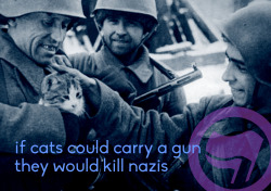 der-ekelhafte:      if cats could carry a gun they would kill nazis  This a new version. You can see the old version here. 