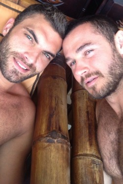 hot4hairy:  H O T 4 H A I R Y  Tumblr |