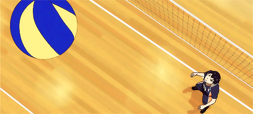 captainpoe:  You suck at serving, you suck at receiving, and your setting and blocking are below average. Then what are you doing on the court? You score points! 