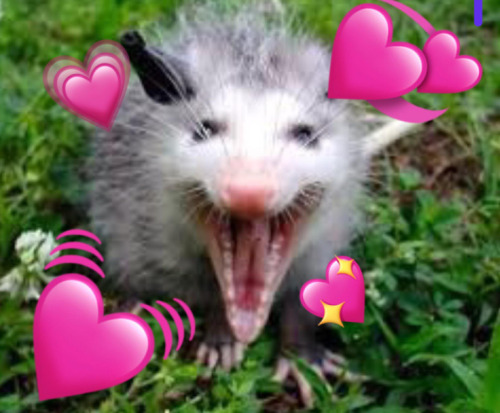 I Appreciate Your Fish Posts!!! I Love Dredge And One Of Ur Fish Posts Was Randomly Recommended To Me