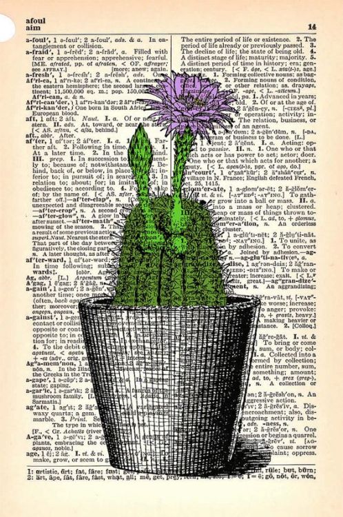 cactus-in-art:Danielle Richey (etsy/StayGoldMedia)