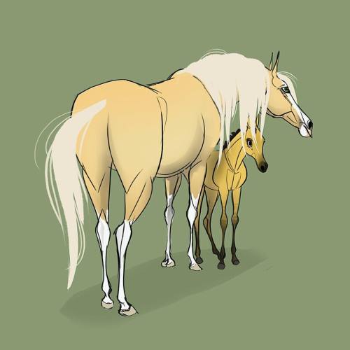 eworthylake:  One last “Spirit” drawing, Esperanza is the queen! Also, anyone have any intel on the Spirit Netflix series? Can’t wait to see it! #spirit #horse #horsedrawing #characterdesign #dreamworks #mustang #esperanza #stallionofthecimarron