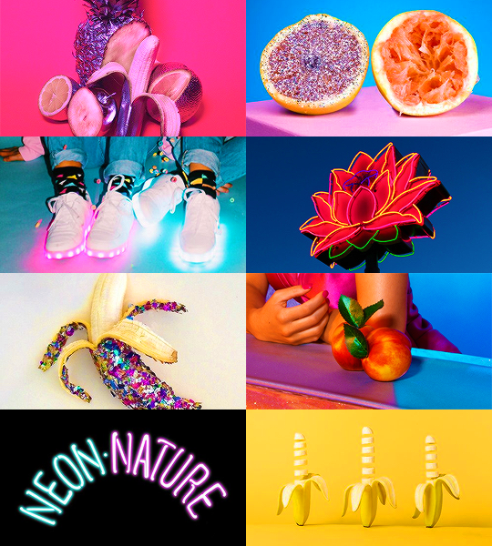 fruitdiamond:  F R O O T  // marina and the diamonds “i was trying to describe