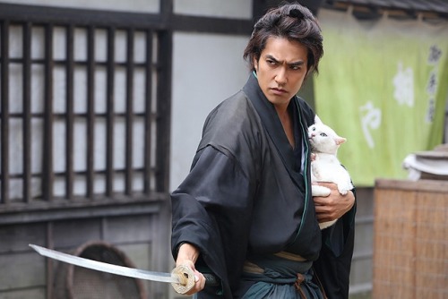 wanokokoro-japan: 映画『猫侍』 ( neko zamurai ) (2014)