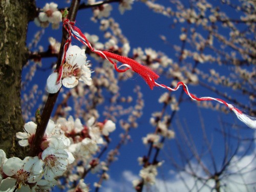 theseromaniansarecrazy: Mărțișor is a celebration at the beginning of spring (March the first, today