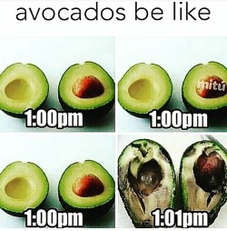 Cashewcream:  Relatable Memes 