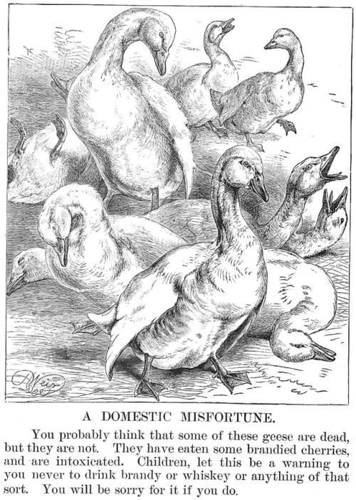 wilwheaton: yesterdaysprint:Animal Stories: Pictures and Stories for Children illustrated by Harriso