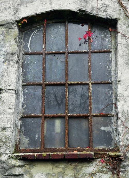 Herbst an der Mühle in Wohlde - Fenster; Stapelholm (24) by Chironius flic.kr/p/2hAryhh