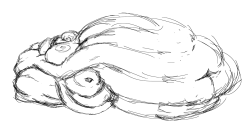 gitbigger:  Buncha freaky immobile fat doodles.