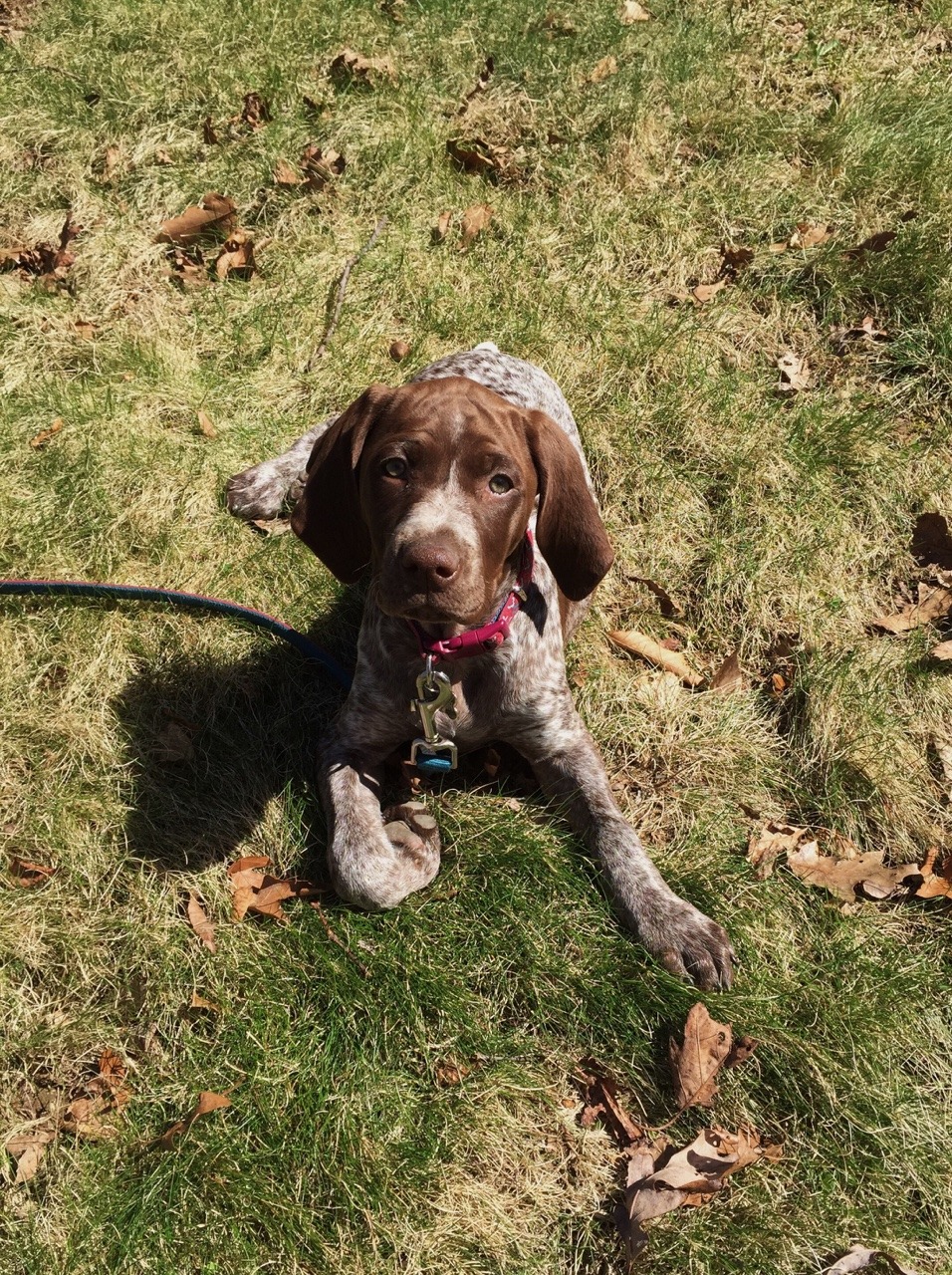 himheryesnofuckyou:  I swear she gets bigger everyday.