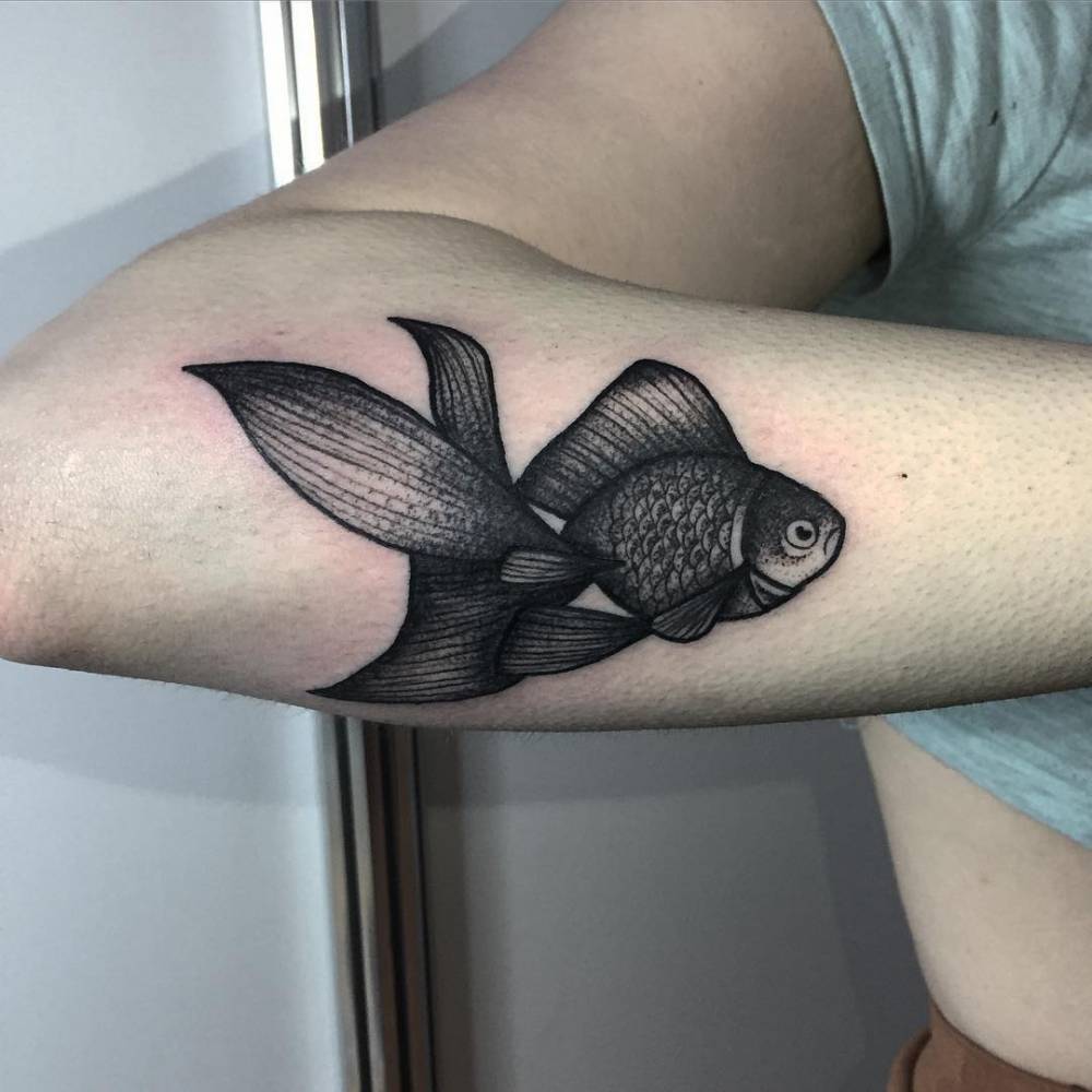 Traditional tattoo flash hand with goldfish - Stock Image - Everypixel