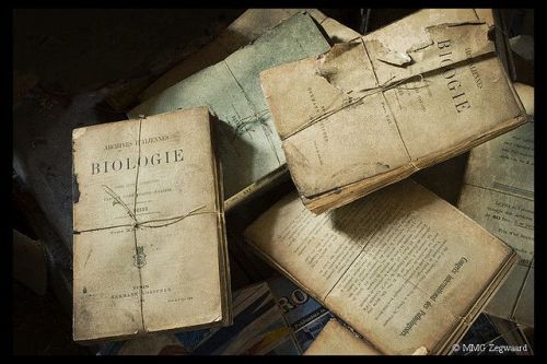 abandonthehalls:  Grotesque Animal Specimens Discovered in an Abandoned Veterinary School Arguably the weirdest location featured in our Creepy Abandoned Schools and Universities round-up, L’école de Médecine Vétérinaire in Brussels is a macabre