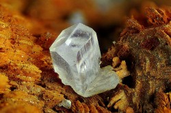 underthescopemin:  Cerussite Crystal cerusita on barite. Ángel Romero Escobar’s Photo