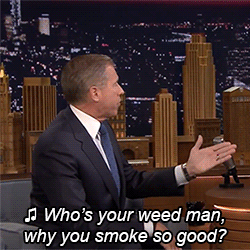 fallontonight:  Ludacris…or rather, Brian Williams…showed Jimmy some of his IRL rapping skills. 