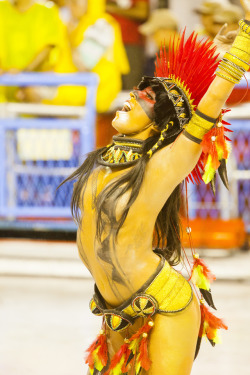 Rio Carnival 2011, by Terry George