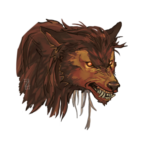 tikattu:my dragonborn in his werewolf form + his height chart! headcanon: since he’s a bosmer 
