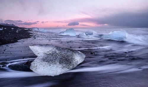 90377:  With Love From Iceland and Last Light by Tim Williams